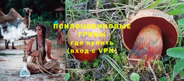 бошки Абаза